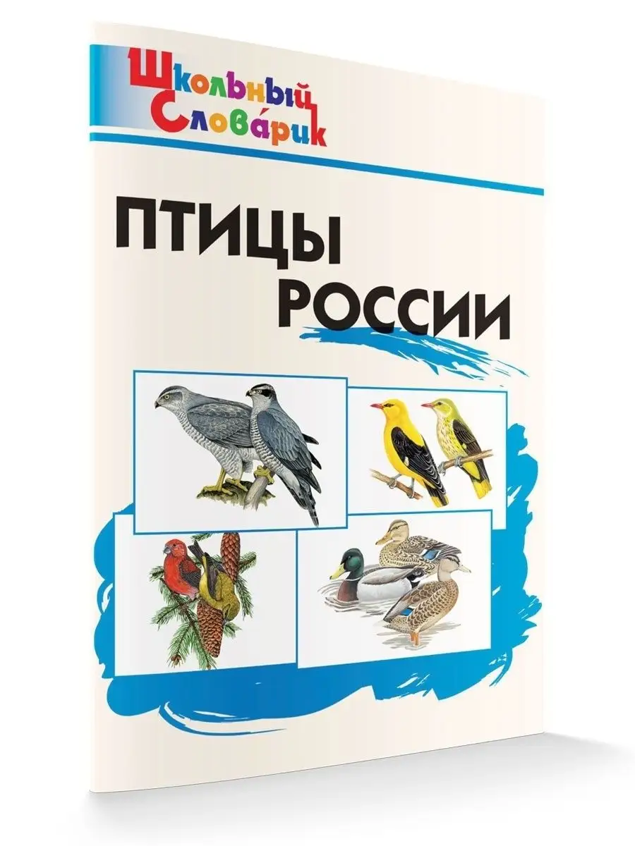 Птицы России. Школьный словарик