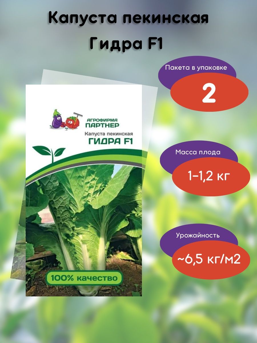 Ежедневник агрофирма партнер. Капуста пекинская гидра. Капуста пекинская гидра f1. Агрофирма партнер. Морковь Силвано Агрофирма партнер.