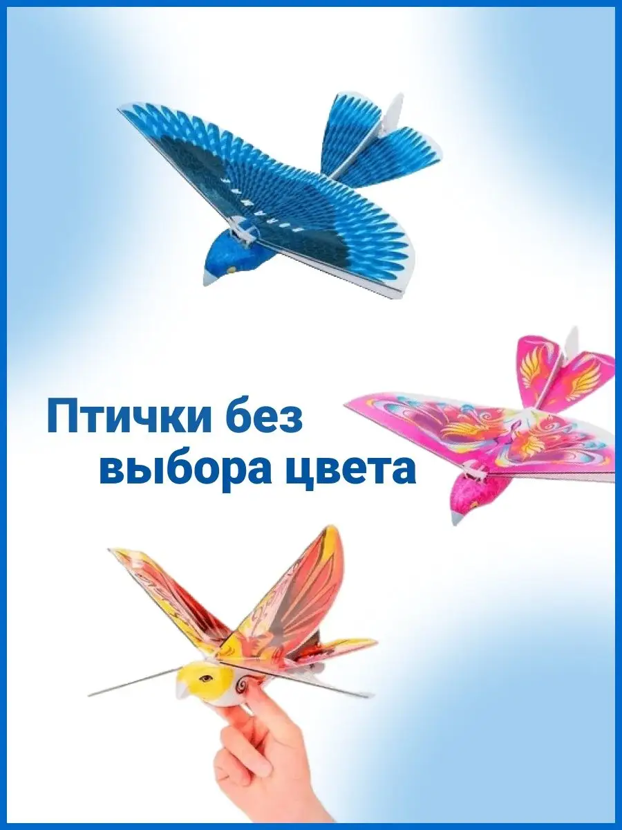 Плавающая но не летающая птица. Плавающая но не летающая птица