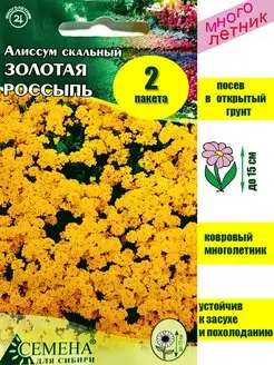 Цветы для сада Алиссум многолетний 2 пакета Семена для Сибири 152541176 купить за 120 ₽ в интернет-магазине Wildberries