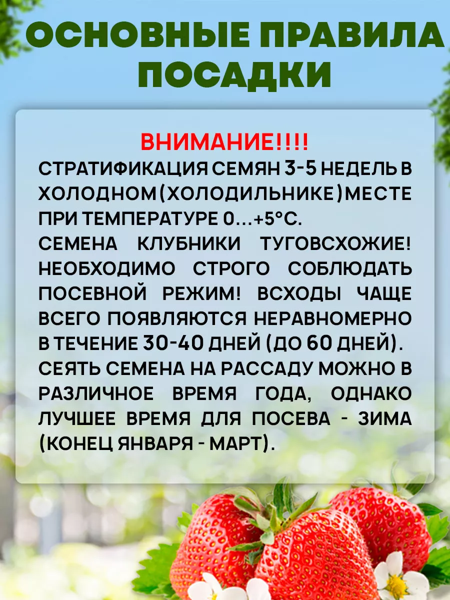 Семена Клубники Земляники Сибирский сад 152545927 купить за 405 ₽ в  интернет-магазине Wildberries