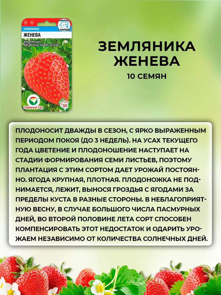 Семена Клубники Земляники Сибирский сад 152545927 купить за 405 ₽ в  интернет-магазине Wildberries