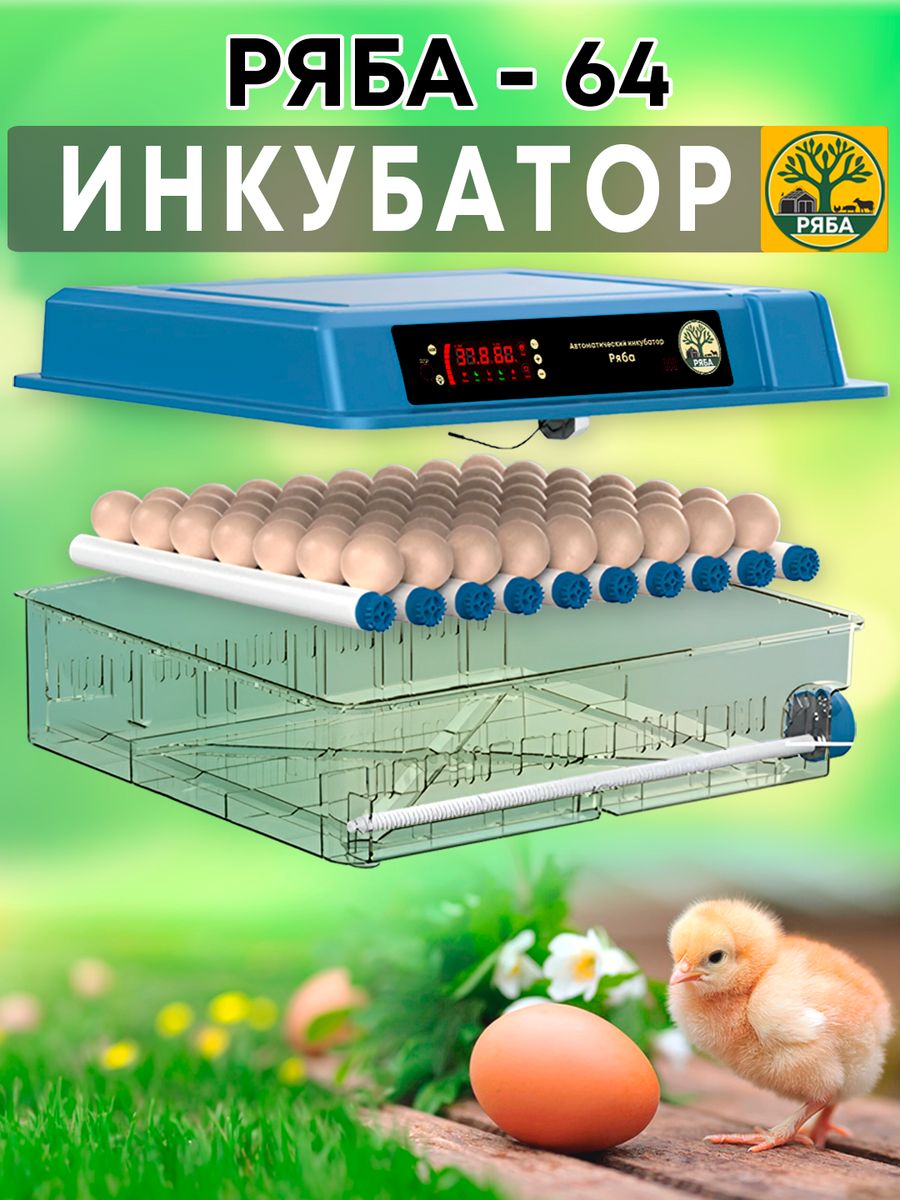 Инкубатор ряба 64