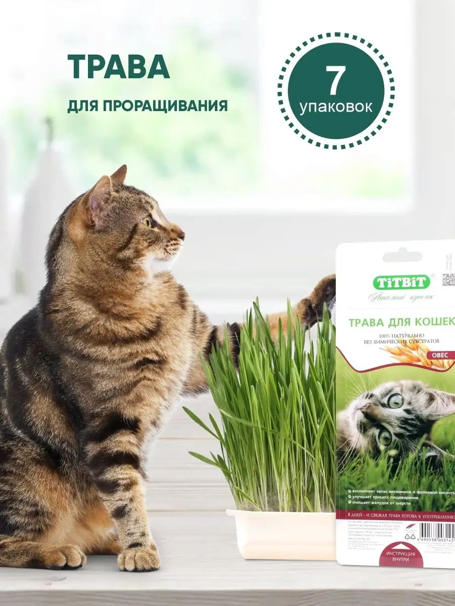 Лакомство для кошек Трава для проращивания с лотком 7 шт.