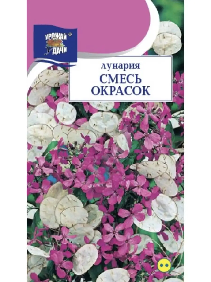 Лунария стабилизированная 60-80см (упаковка)