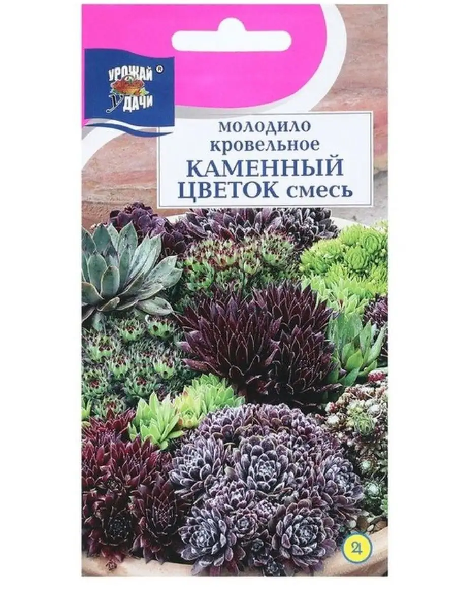 Семена Молодило кровельное Каменный цветок 0,01г Урожай удачи 152601575  купить в интернет-магазине Wildberries