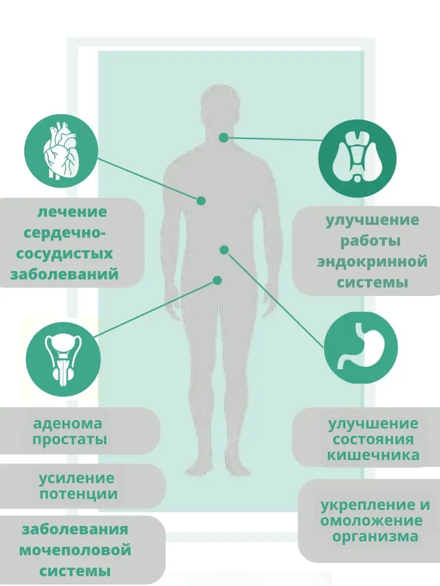 Трутневый расплод адсорбированное в гранулах Золотая Борть 152689586 купить  в интернет-магазине Wildberries