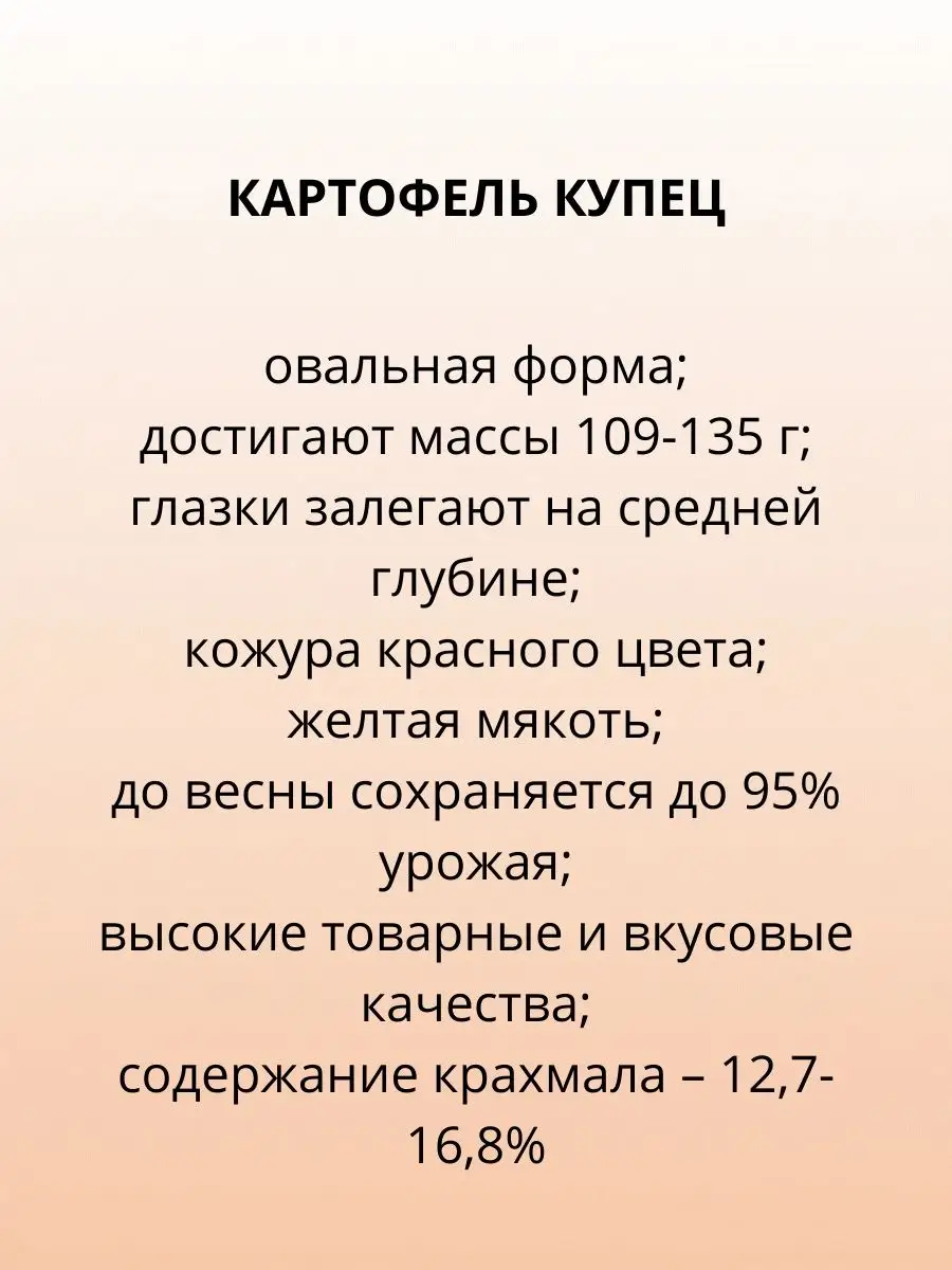 Семенной Картофель/Картофель на посадку Цветы Голландии 152755401 купить в  интернет-магазине Wildberries