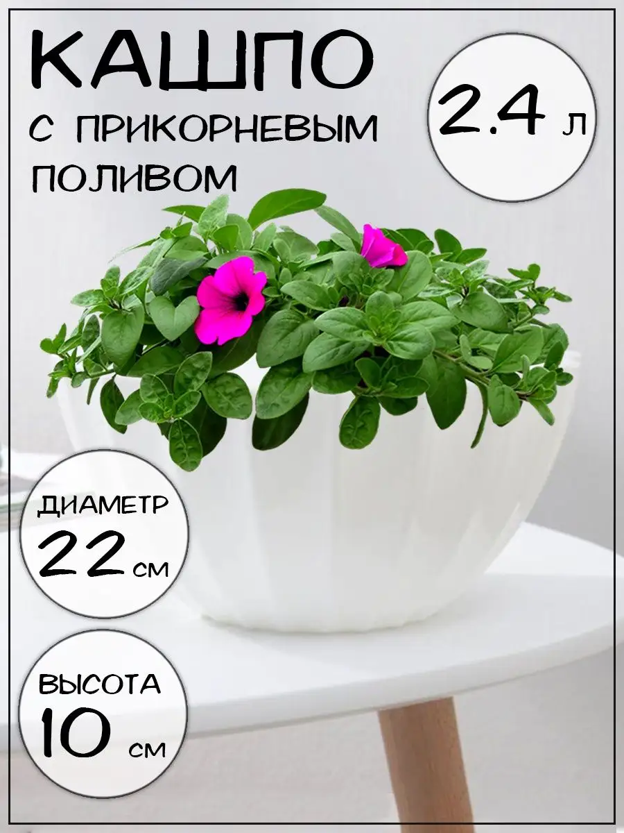 Кашпо с прикорневым поливом горшок для растений "Ракушка"