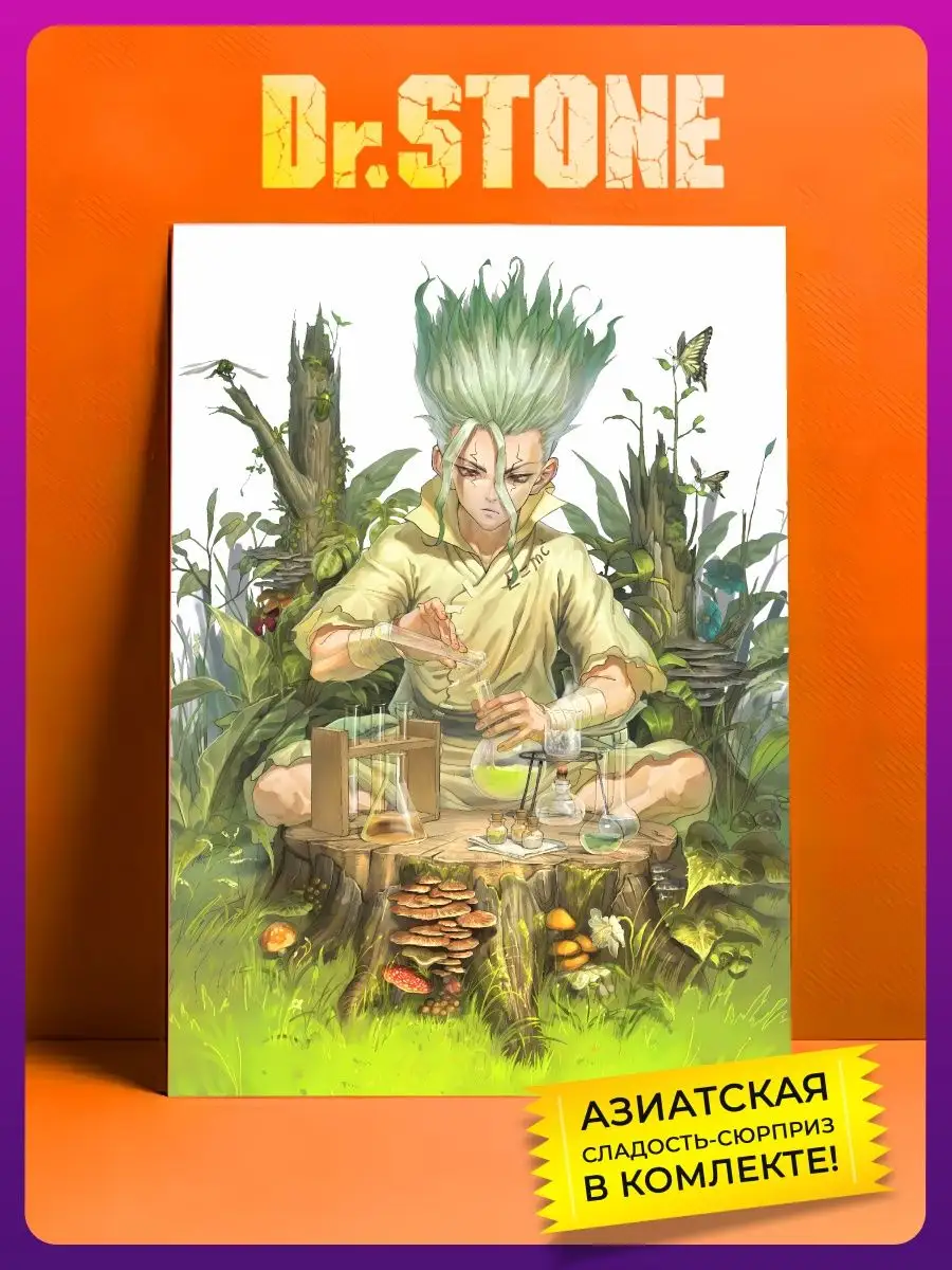 Dr.Stone Доктор Стоун аниме плакат AniKiss 152822714 купить за 283 ₽ в  интернет-магазине Wildberries