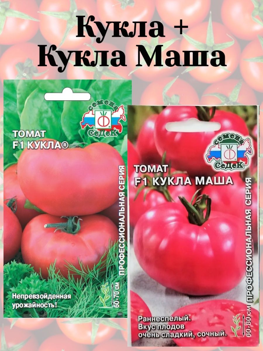 Урожайность томата кукла