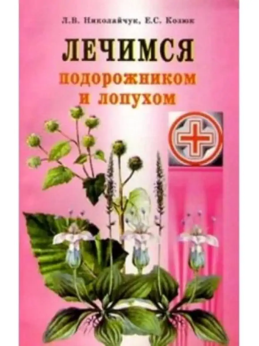 Лечимся подорожником и лопухом СОвременное слово 153013585 купить за 230 ₽  в интернет-магазине Wildberries