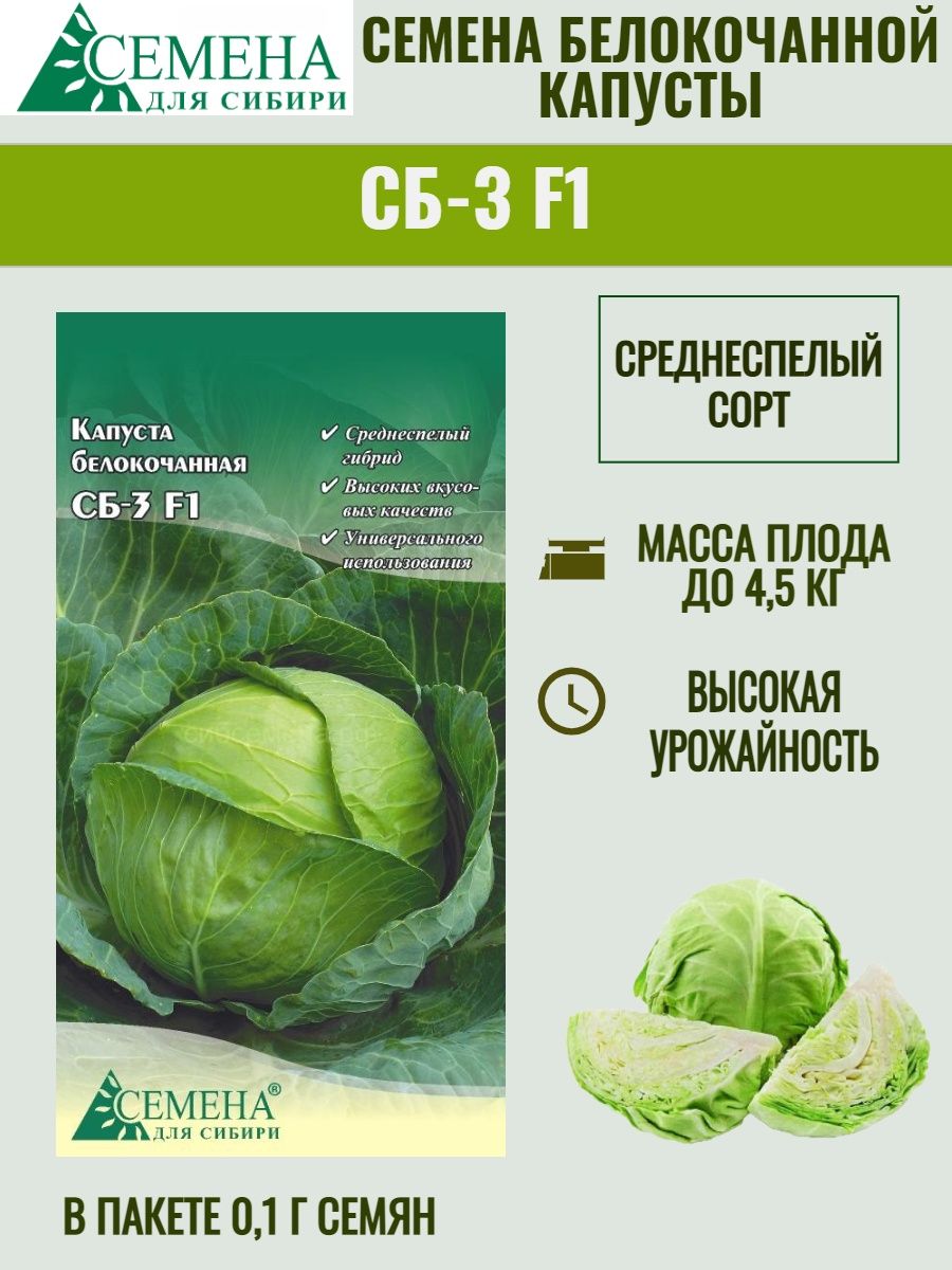 Сорт капусты сб описание. Капуста сб. Капуста сб-3. Капуста сб-3 f1 описание сорта фото отзывы. Капуста сб3 описание сорта фото отзывы.