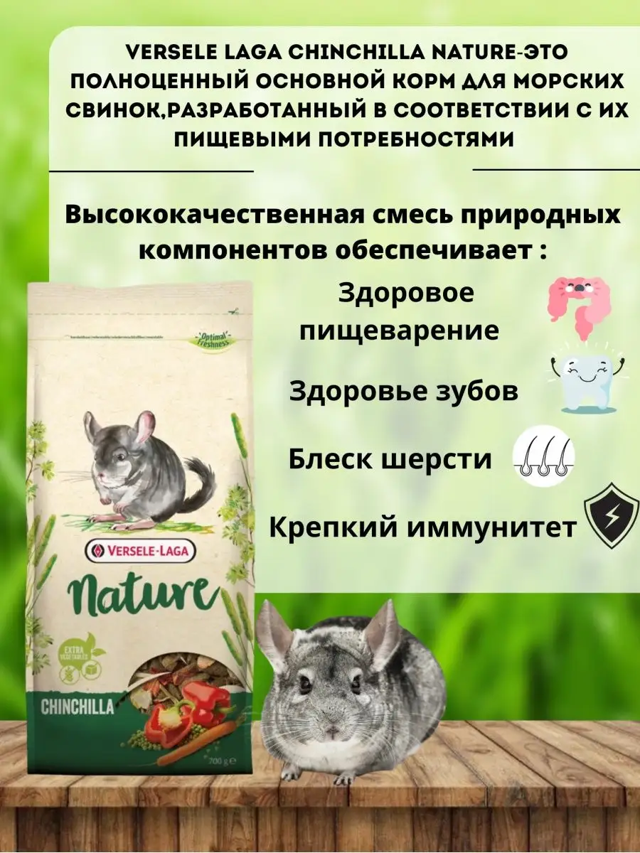 Chinchilla nature versele store laga