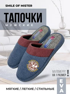 Тапочки домашние Smile of Mister 153198408 купить за 718 ₽ в интернет-магазине Wildberries