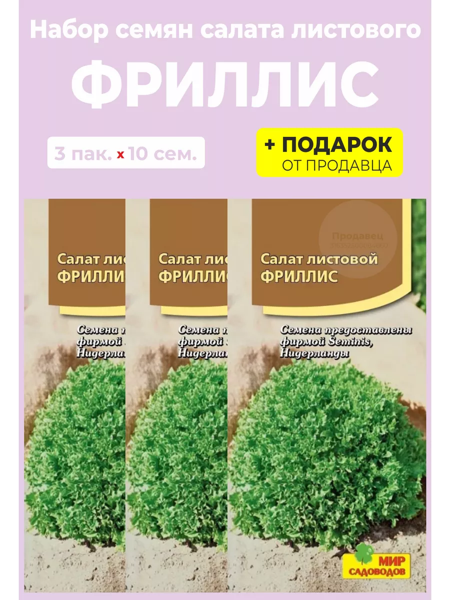 Семена Салат листовой Фриллис