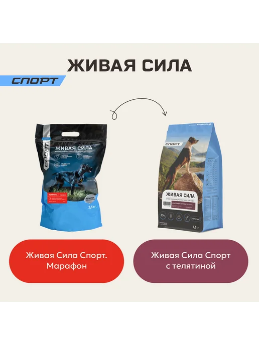 Сухой корм JJ-SPORT Живая Сила для собак, телятина, 10 кг, фото 2