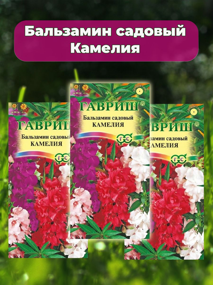 Бальзамин садовый Камелия Гавриш 153254973 купить в интернет-магазине  Wildberries