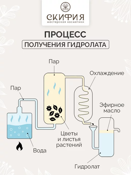 Скифия Гидролат гвоздики спрей для лица и тела, вариант, фото 4