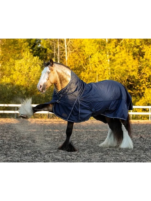 Первая Конная Мануфактура Попона денниковая с высокой холкой PERFECT HORSE, синий, фото 3
