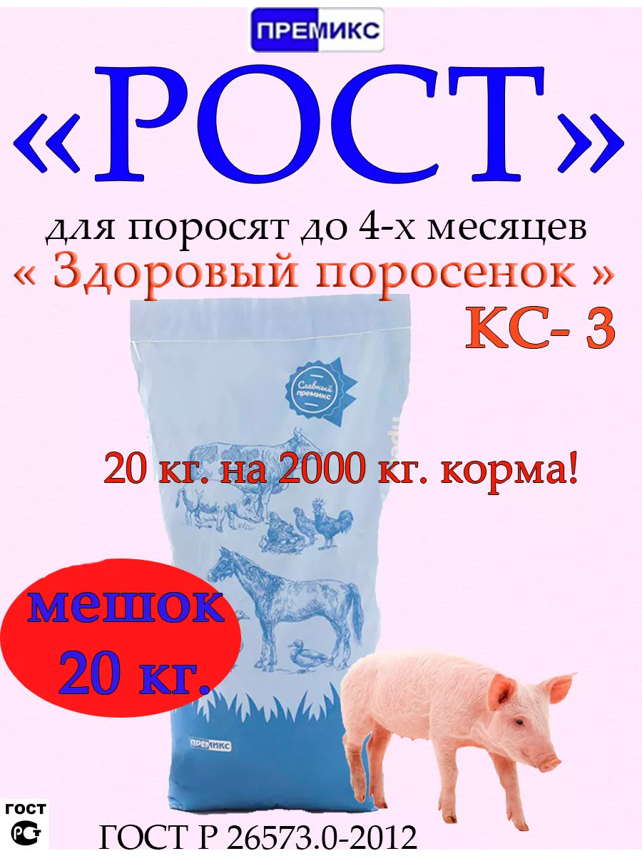 Зачем свинье пятачок, и откуда он взялся – Клуб любителей хрюш