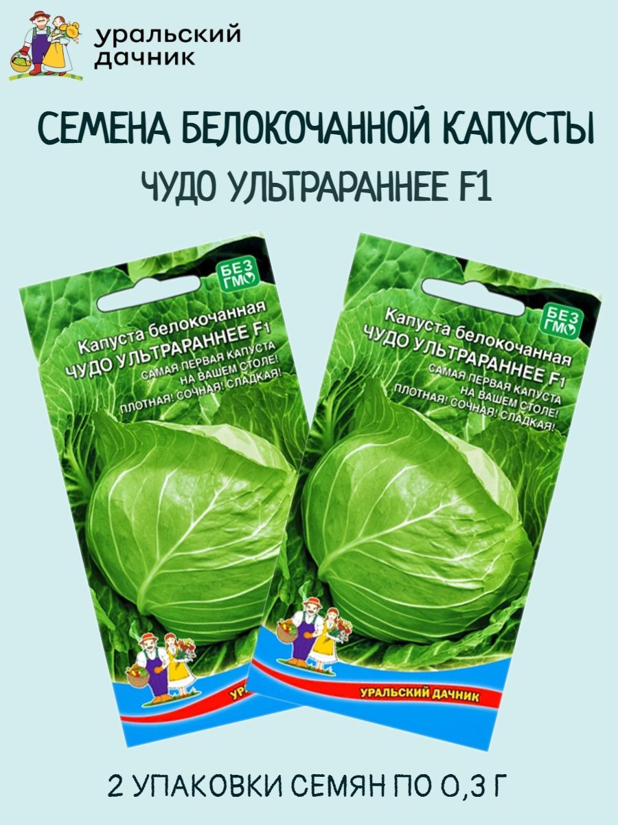 Капуста чудо ультрараннее отзывы. Капуста чудо Ультрараннее. Уральский Дачник интернет магазин. Дачник интернет магазин. Капуста чудо Ультрараннее в р разрезе.