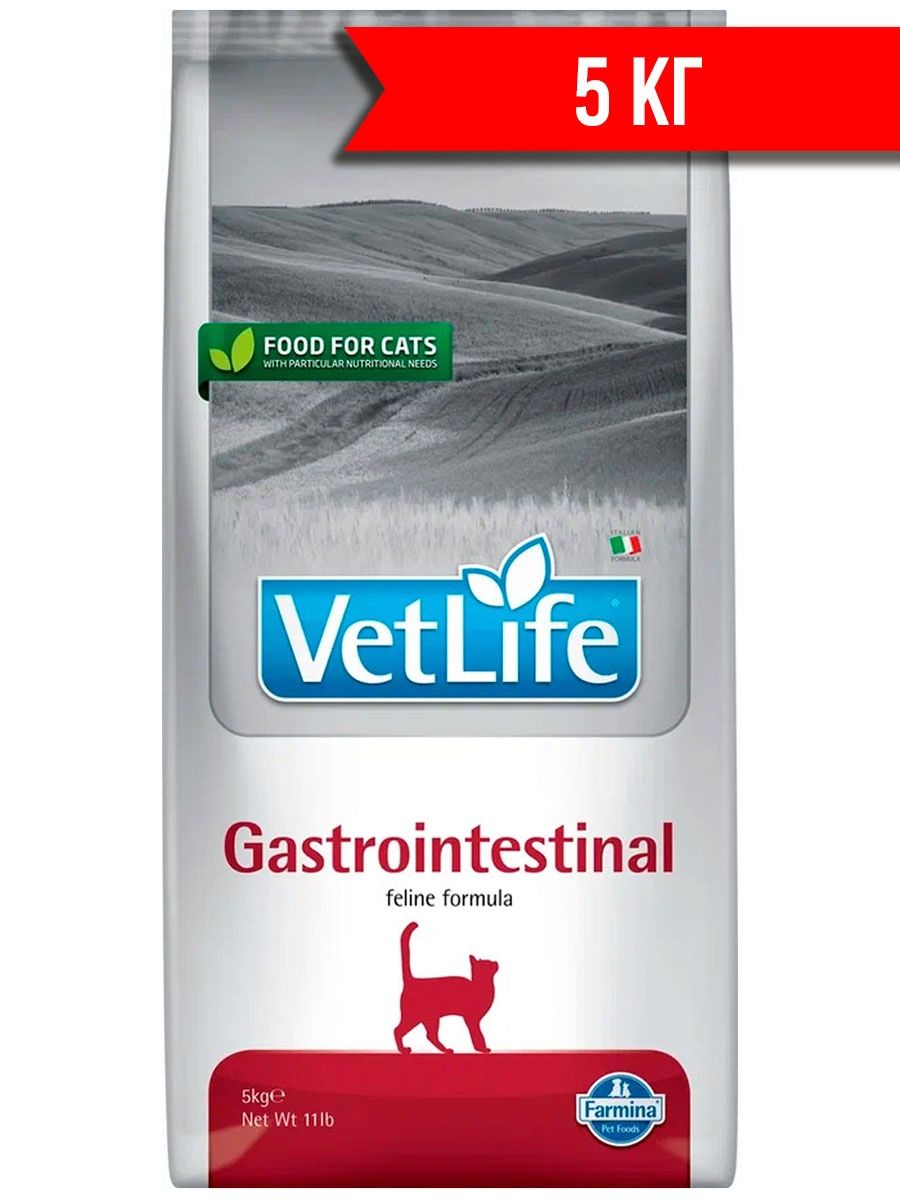 Farmina vet life gastrointestinal для кошек. Gastrointestinal Farmina консистенция. Farmina vet Life Gastrointestinal для собак купить в Екатеринбурге. Где срок годности на пакете Farmina Gastrointestinal.