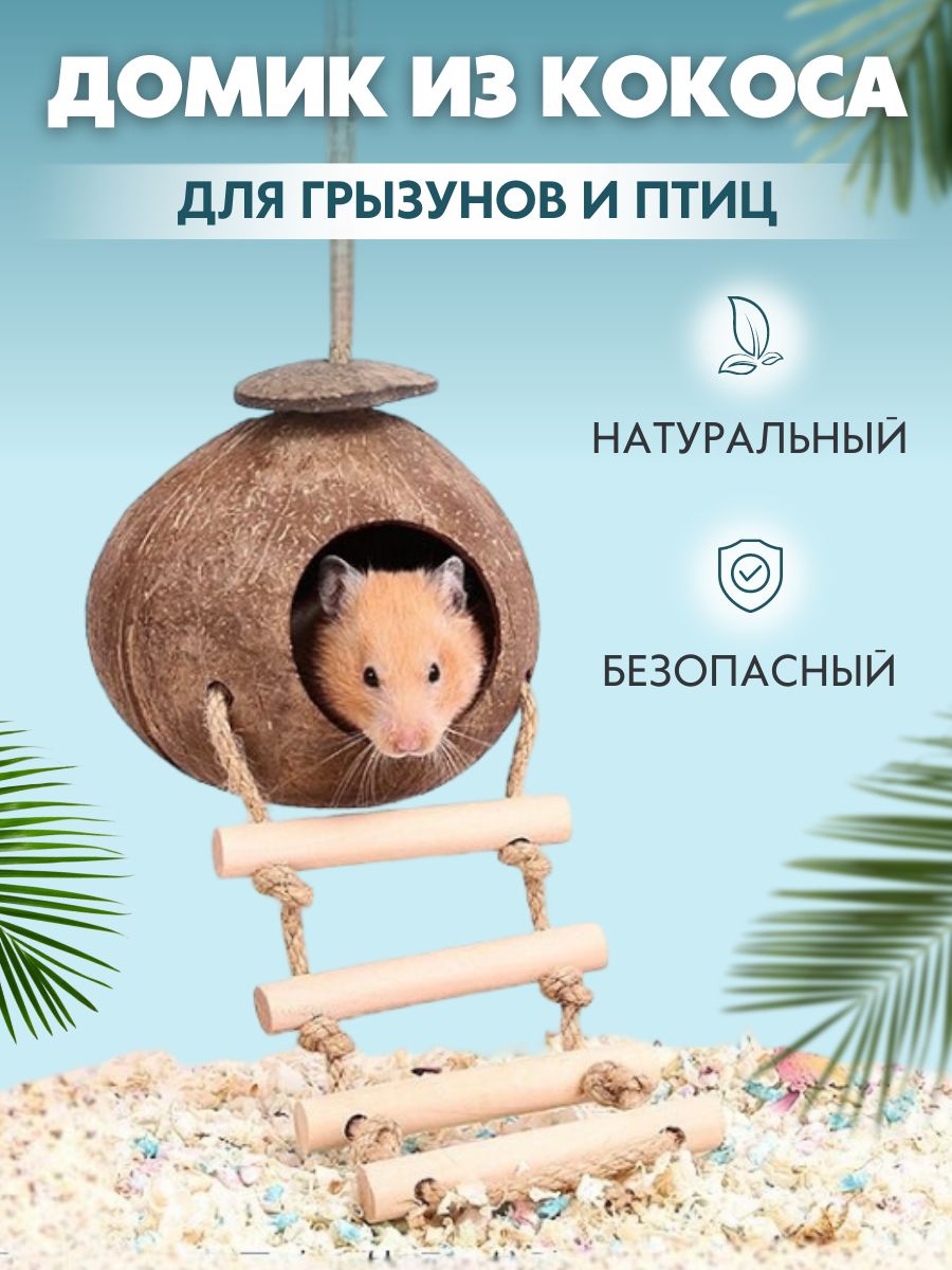 Кокосовый домик для птиц и грызунов Lanapolana for pets 153384607 купить в  интернет-магазине Wildberries