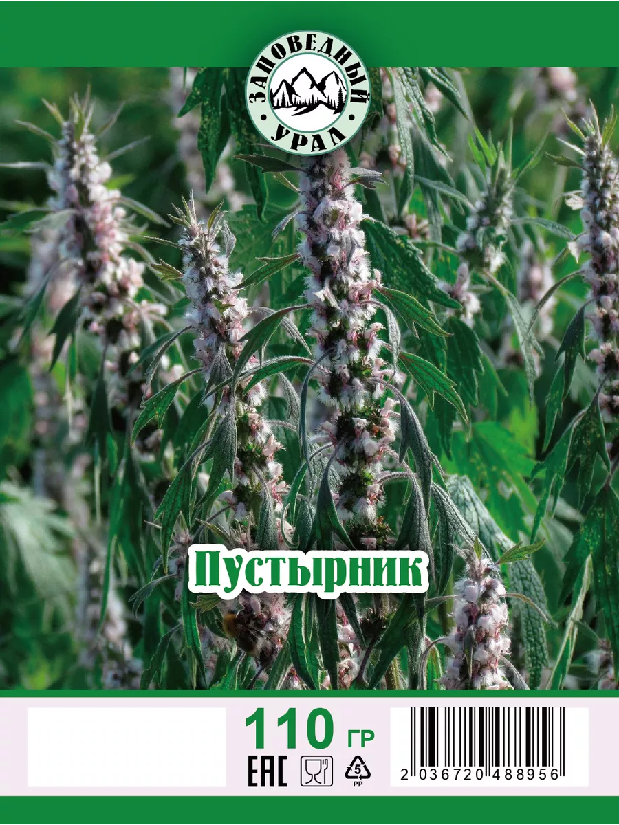 Пустырник трава сушеная Заповедный Урал 153464200 купить за 166 ₽ в  интернет-магазине Wildberries