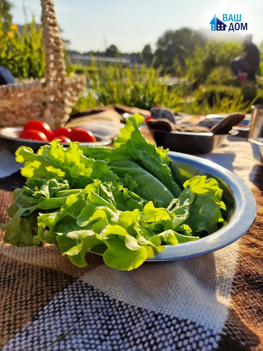 Миски из нержавеющей стали, металлические для кухни и дачи Ваш Дом  153467624 купить за 1 132 ₽ в интернет-магазине Wildberries