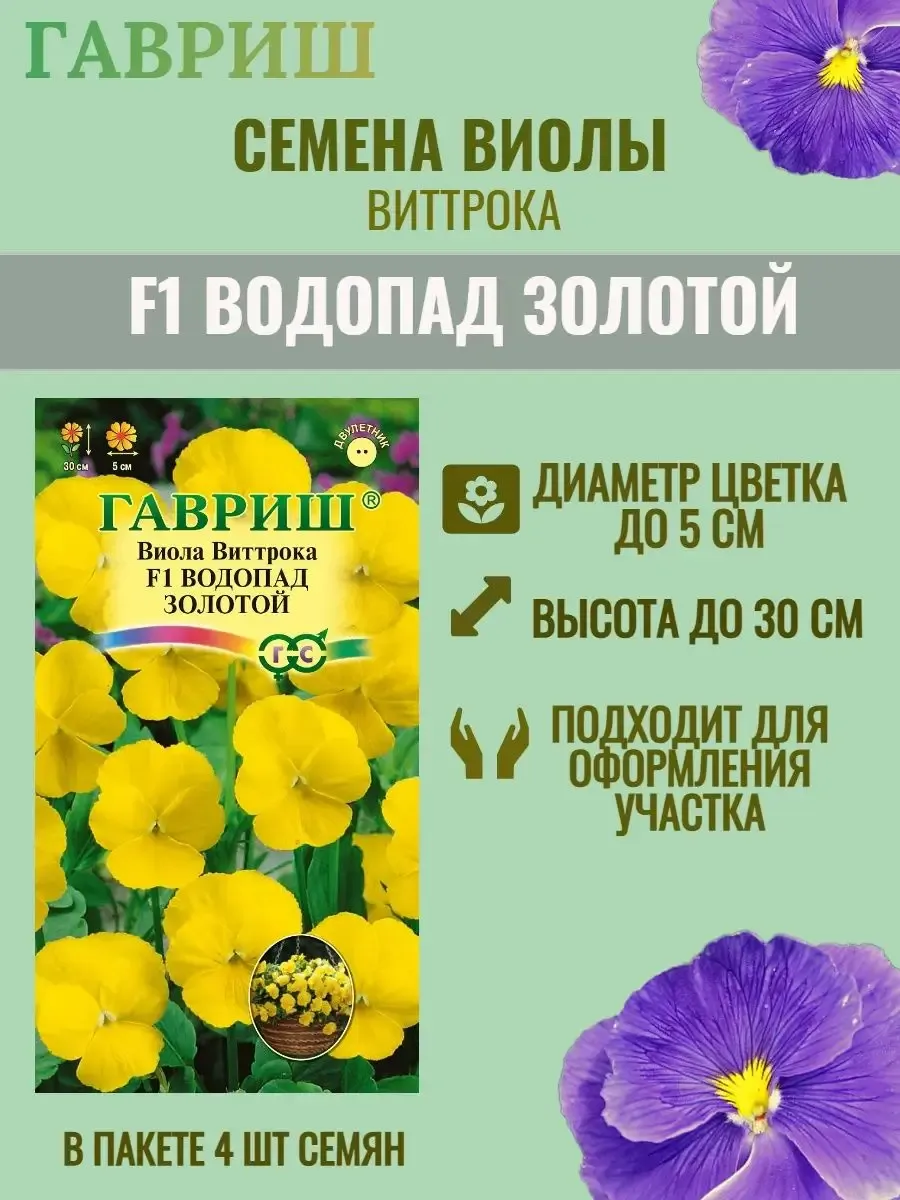 Семена Виолы Купить В Интернет Магазине