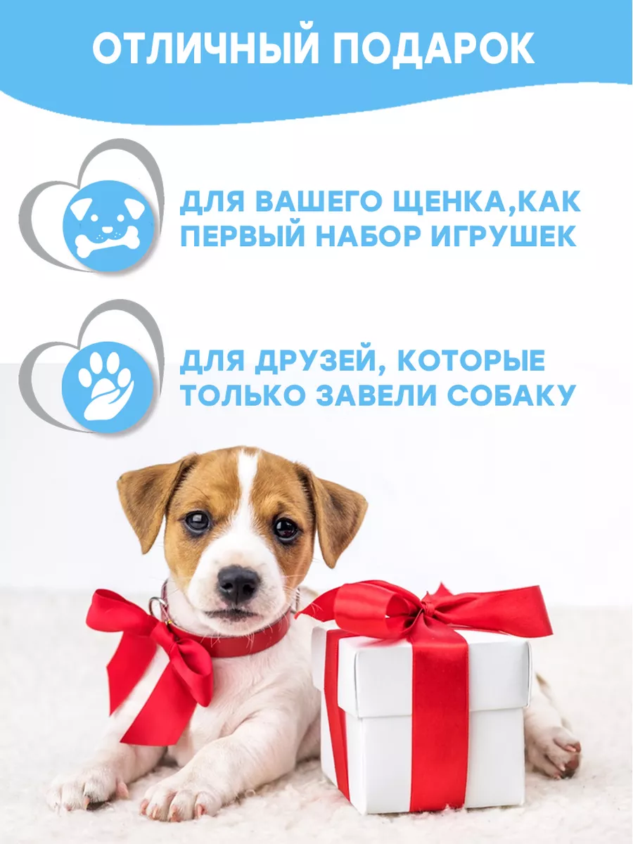 Игрушки для щенков и собак мелких и средних пород набор 5в1 Fan Pets  153525562 купить за 647 ₽ в интернет-магазине Wildberries