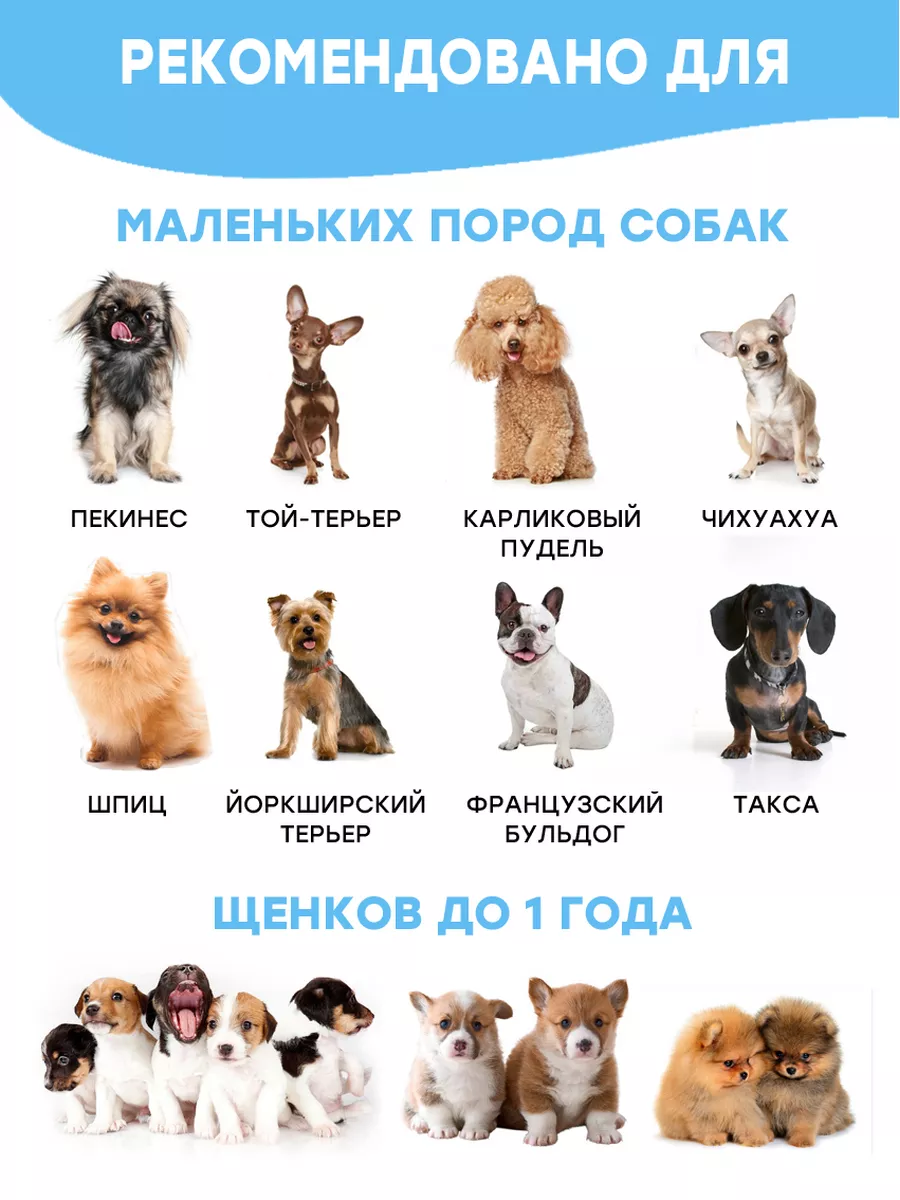 Игрушки для щенков и собак мелких и средних пород набор 5в1 Fan Pets  153525562 купить за 641 ₽ в интернет-магазине Wildberries