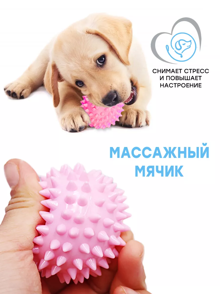 Игрушки для щенков и собак мелких и средних пород набор 5в1 Fan Pets  153525562 купить за 641 ₽ в интернет-магазине Wildberries