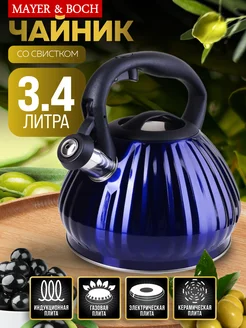 Чайник для плиты со свистком