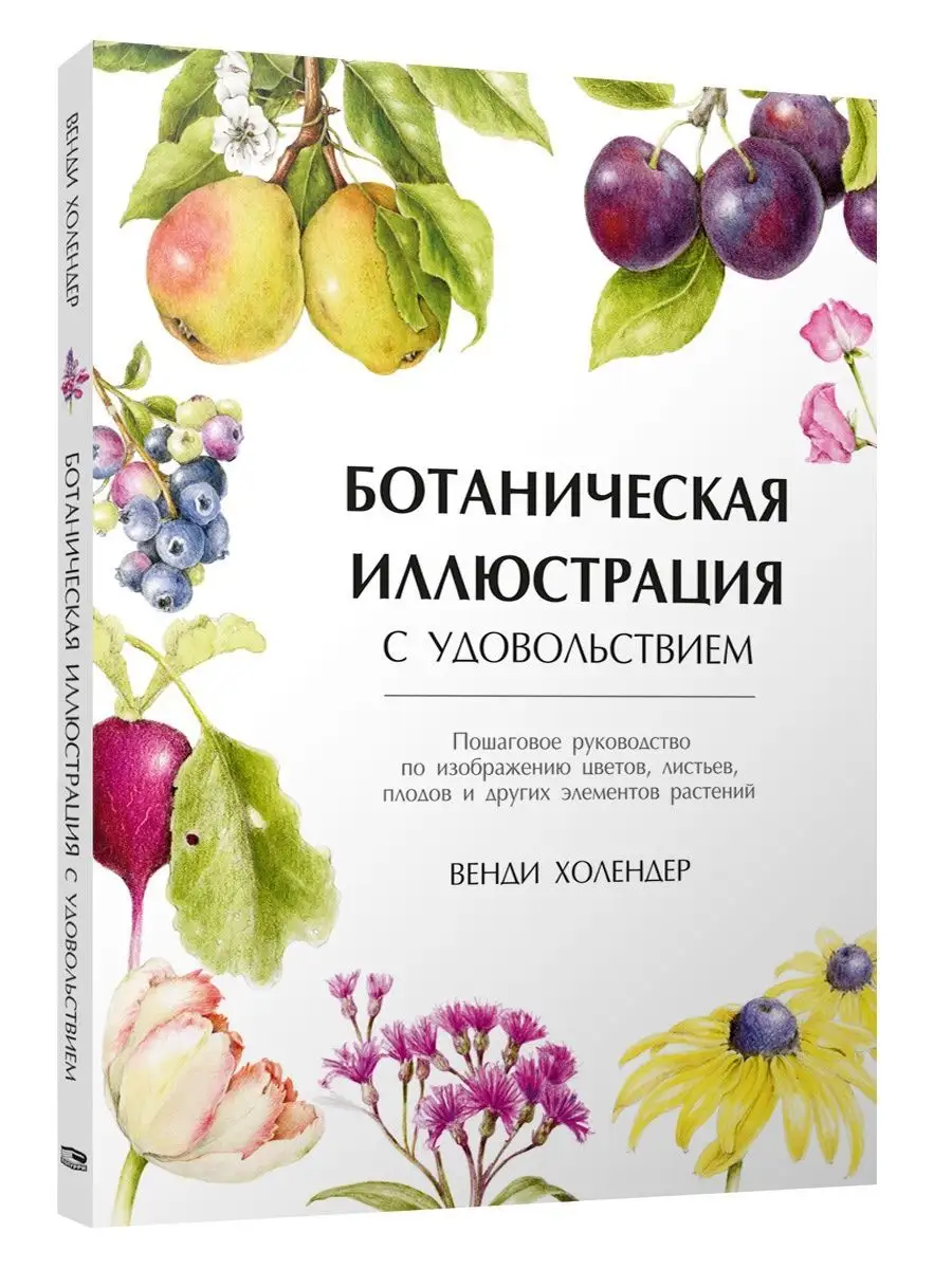 Ботаническая иллюстрация с удовольствием Попурри 153567466 купить за 1 012  ₽ в интернет-магазине Wildberries