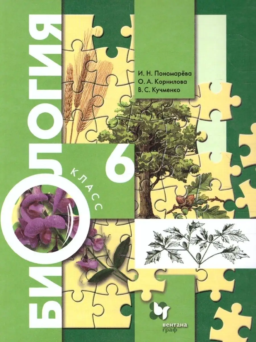 Биология. 6 класс. Учебник. Вентана-Граф 153572039 купить в  интернет-магазине Wildberries