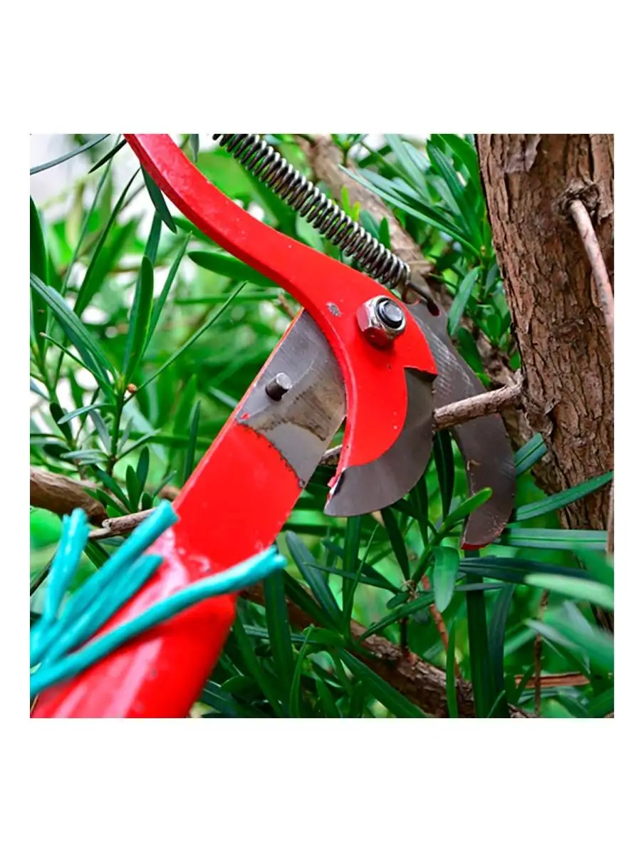Сучкорез садовый деревьев ручной. Pruning Shears секатор садовый. Секатор усиленный сучкорез 30 760mm. Сучкорез штанговый высотный садовый. Ножницы для веток деревьев.