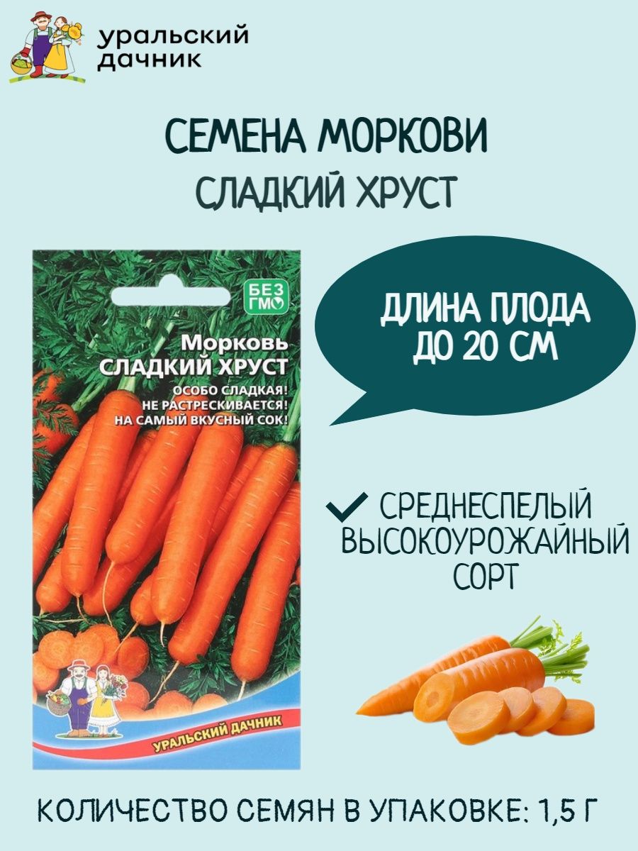 В сладком морковном лесу. Морковь декоративная семена. Морковь сладкая конфета семена. Огурец хрустящий Уральский Дачник.