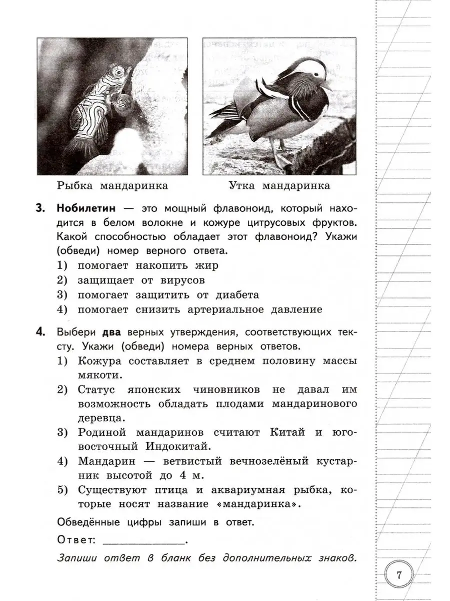 ВПР Читательская грамотность 4 класс 10 вариантов Трофимова Экзамен  153733554 купить за 329 ₽ в интернет-магазине Wildberries