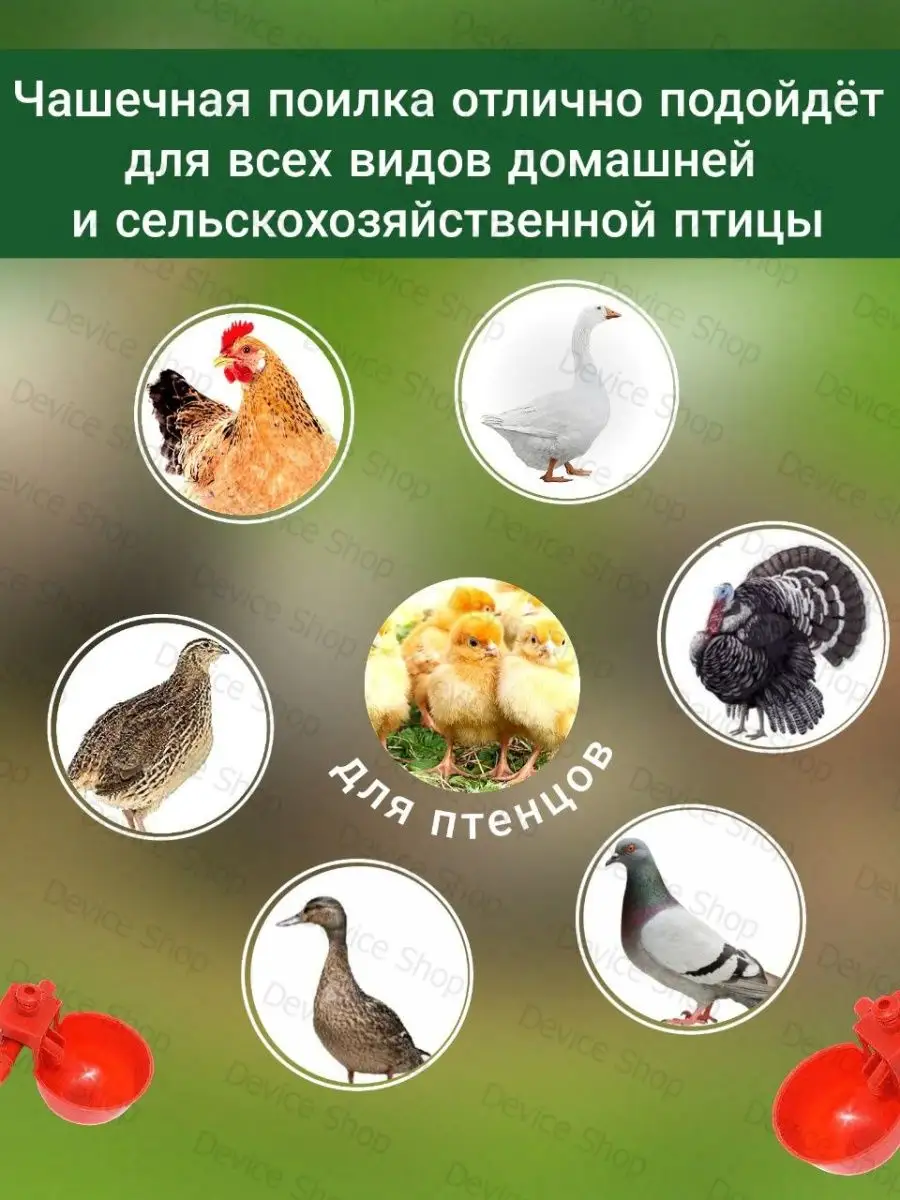 Комбикорм для цыплят от 1 до 8 недель, Старт 10 кг 3000309