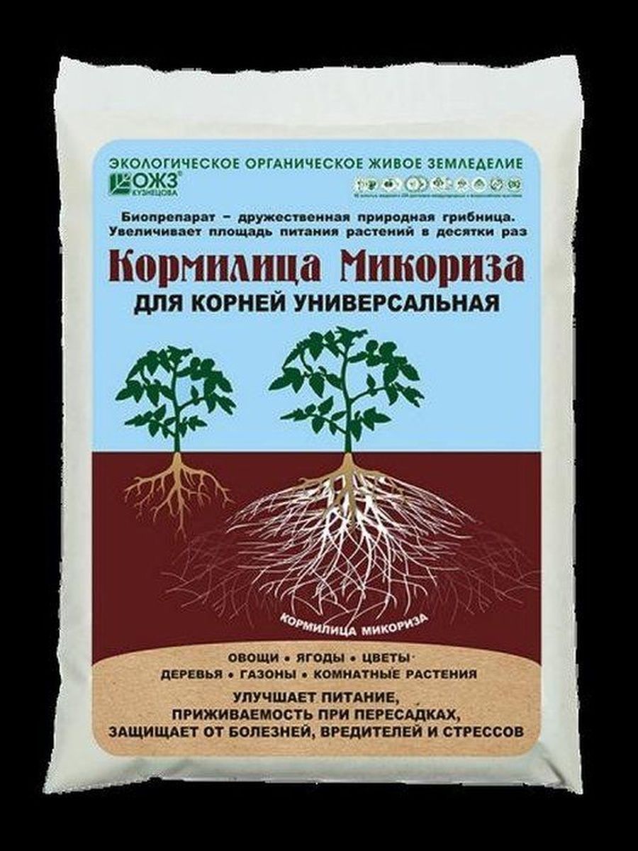 Как правильно развести микоризу. Кормилица микориза 1л. Микориза для рассады. Микориза для рассады способ.