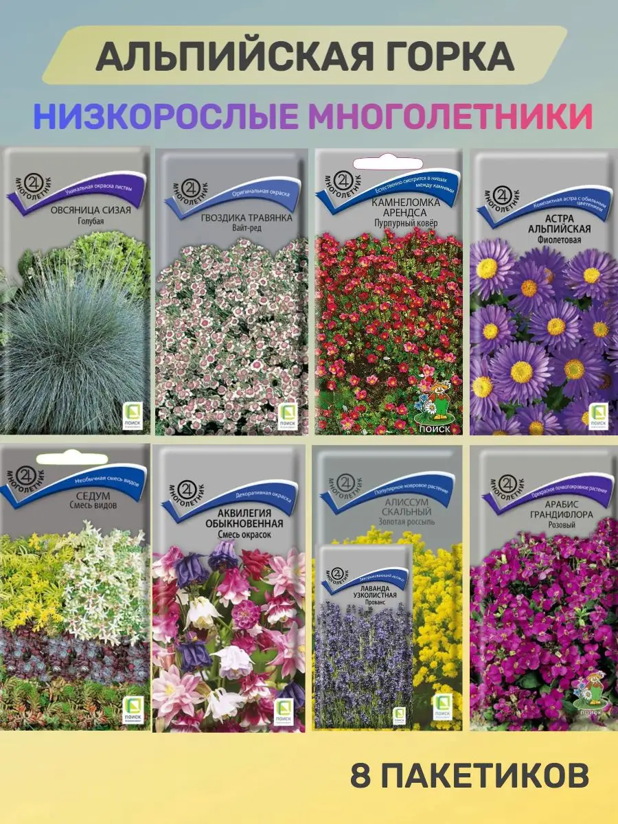 Семена цветов многолетников ПОИСК 153828446 купить в интернет-магазине  Wildberries