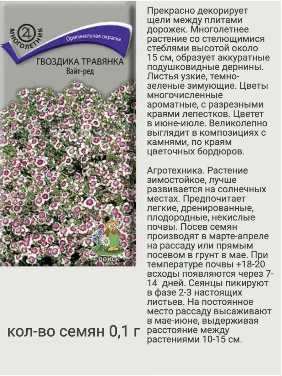 Семена цветов многолетников ПОИСК 153828446 купить в интернет-магазине  Wildberries