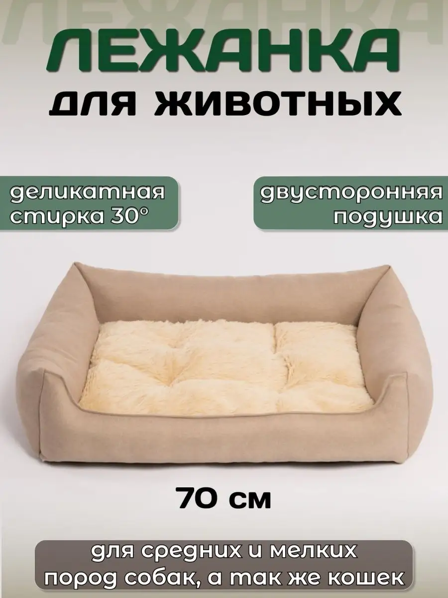 153977880