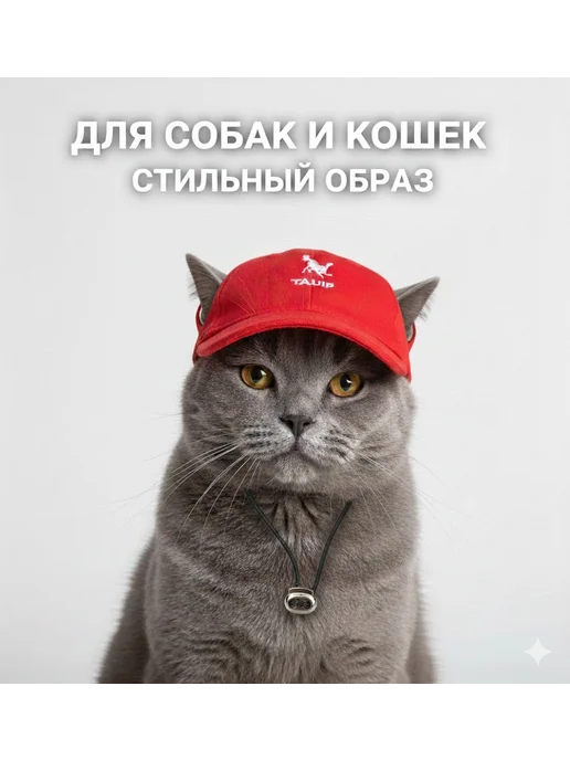 Arnydog Кепка для собак и кошек, красный, фото 2