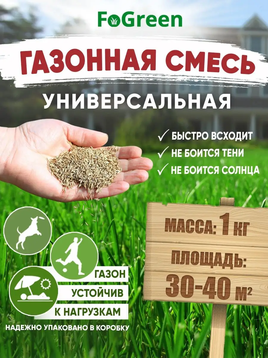 Газонная трава семена 1 кг для дачи и сада