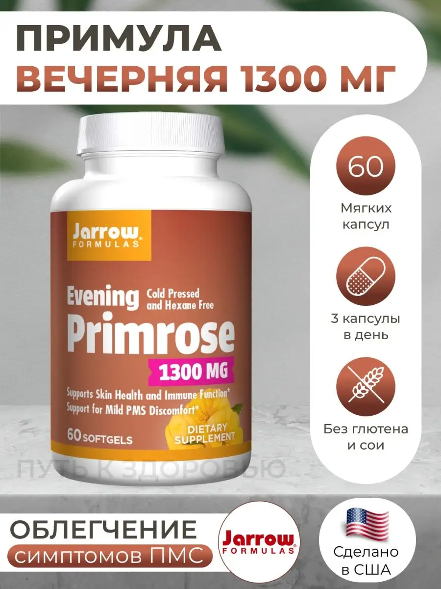 Примула Вечерняя Купить В Спб