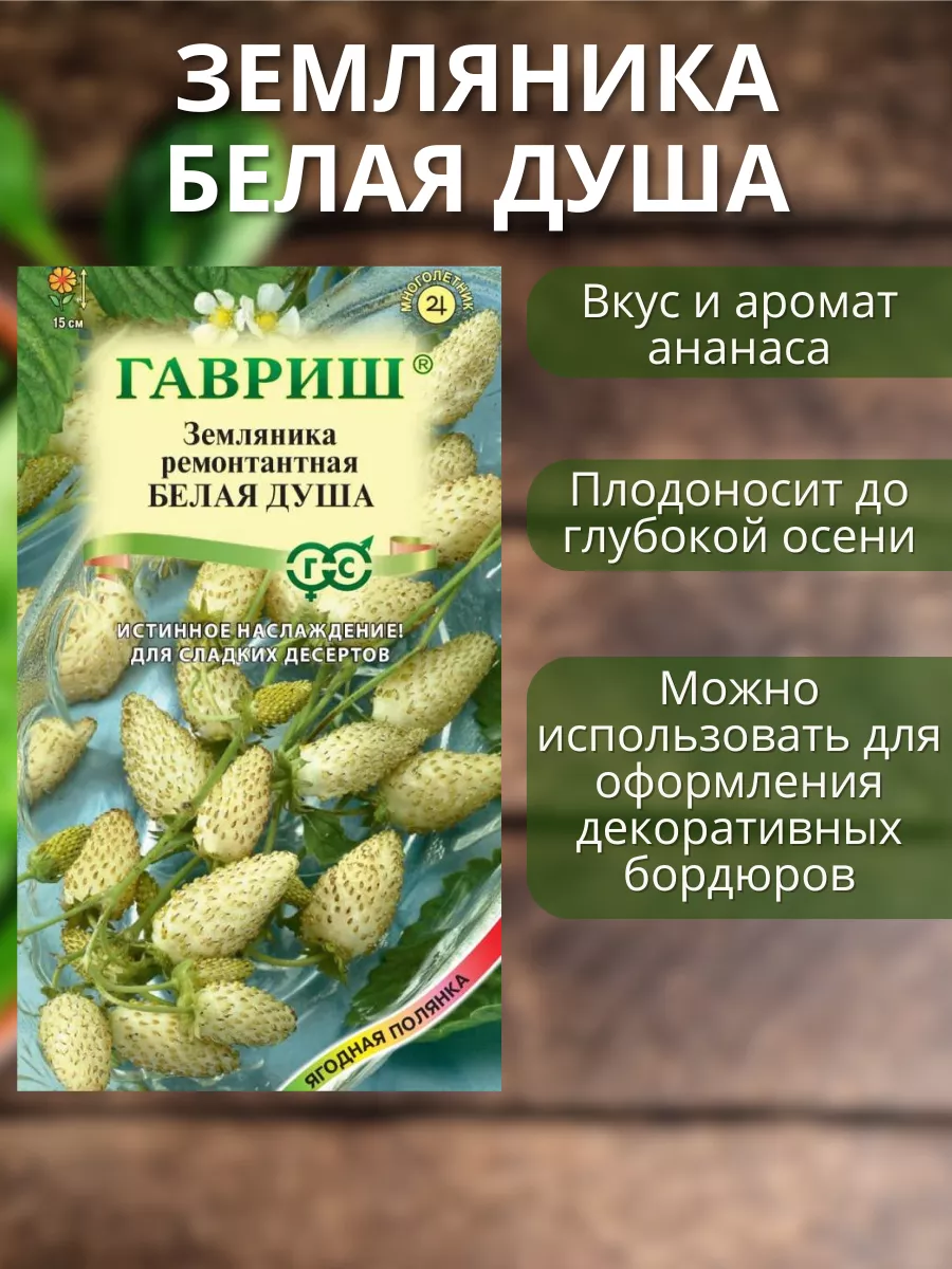 Семена ремонтантной земляники Гавриш 154112740 купить за 200 ₽ в  интернет-магазине Wildberries