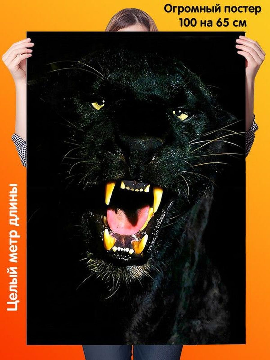 Черные плакаты. Черная пантера на черном фоне. Постер "черная пантера". The 100 Постер.